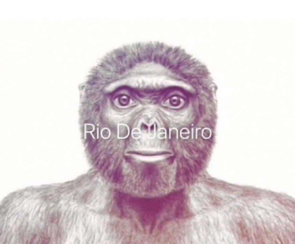 les stats de l’annonce