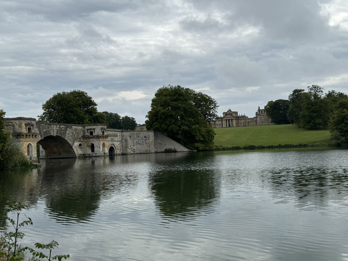 Heidi Rambles tweet media