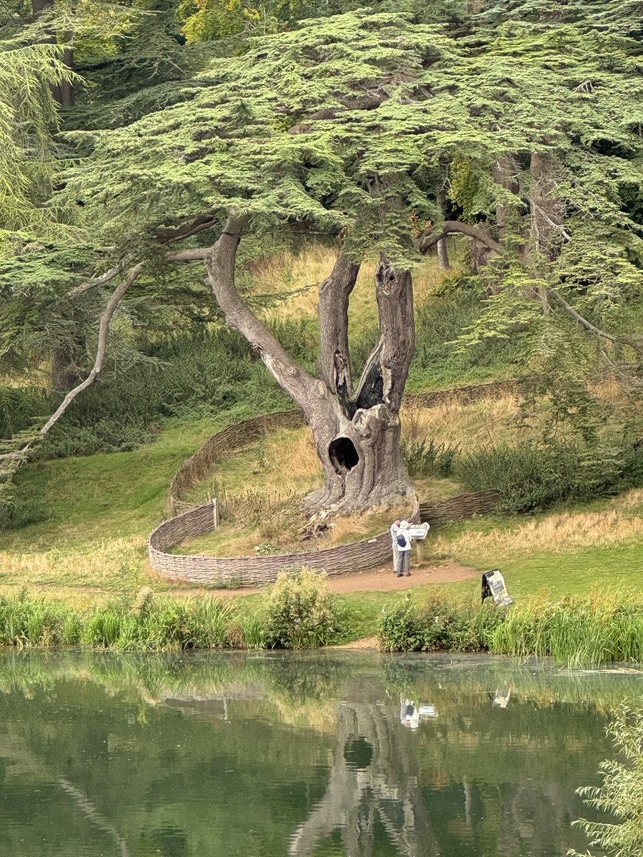 Heidi Rambles tweet media