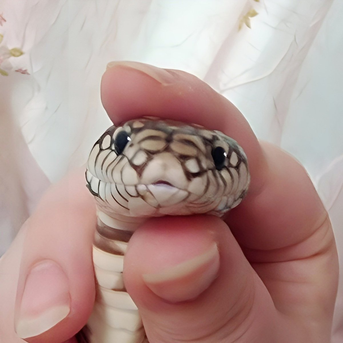 머리 짜부돼서 기분 안 좋은데 화는 못 냄.. 😂