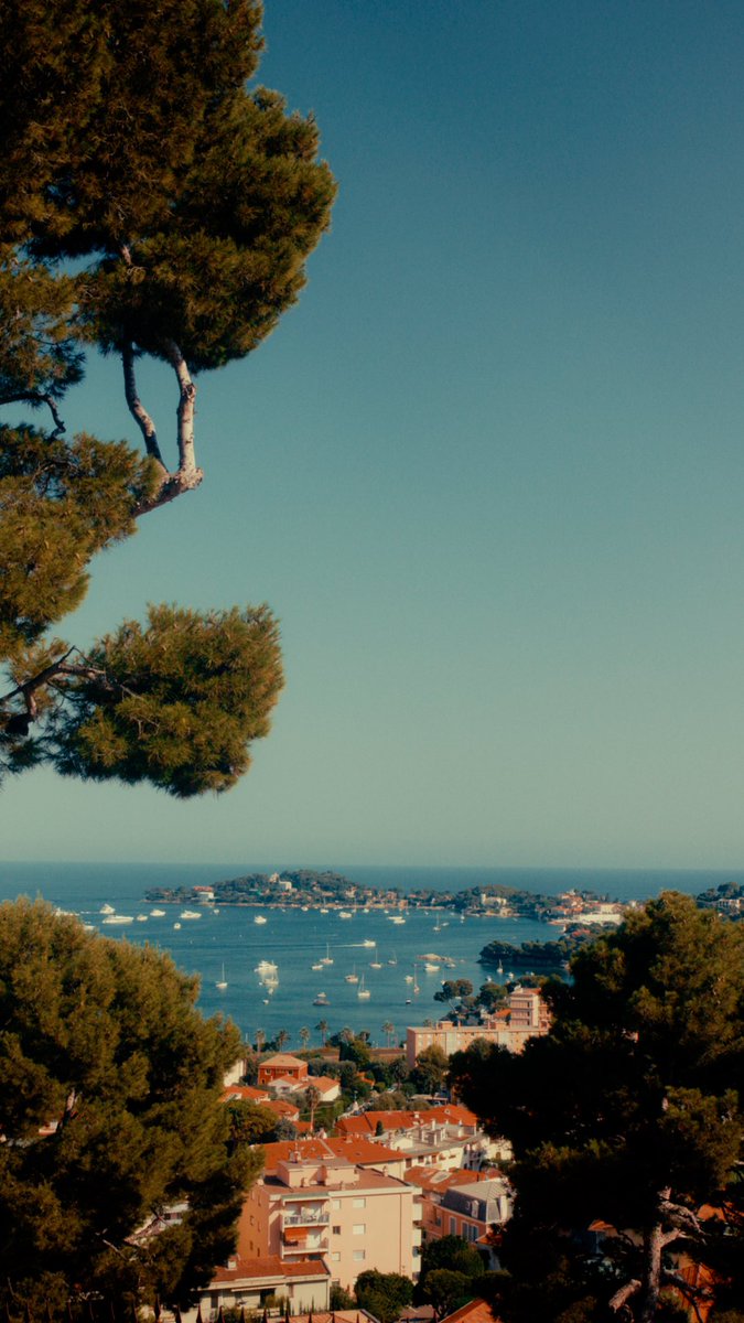 hringner's tweet image. 