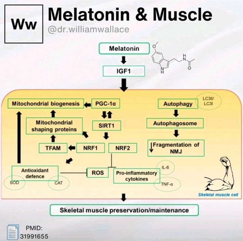 Sriganesh Srihari | Biomedical Data Science tweet media