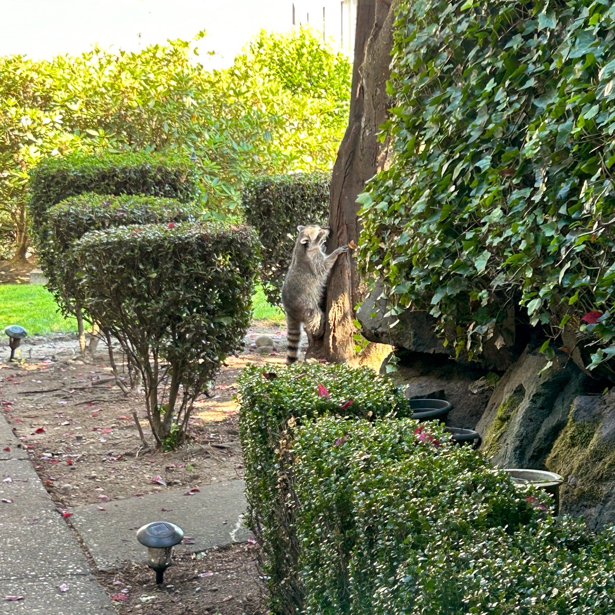 The 2nd happiness day of my life.