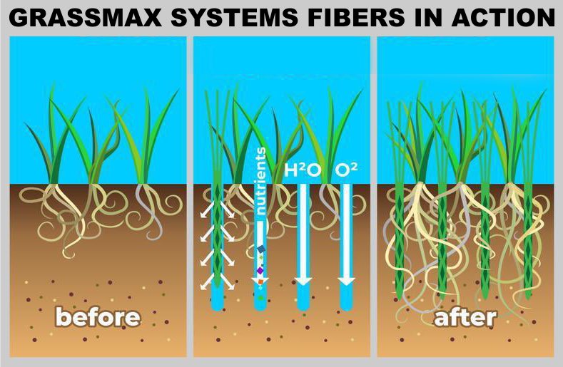 GrassMax Systems tweet media
