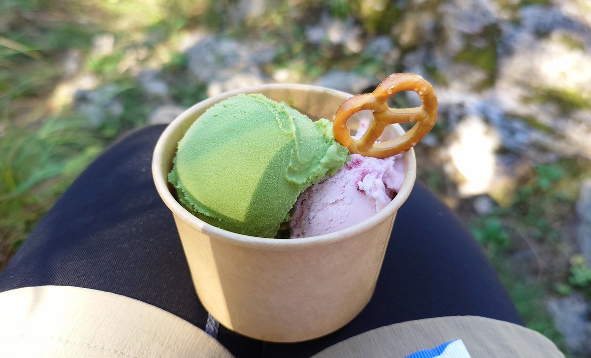 これは今回食べ歩いたかさし・山メシセレクションズ 