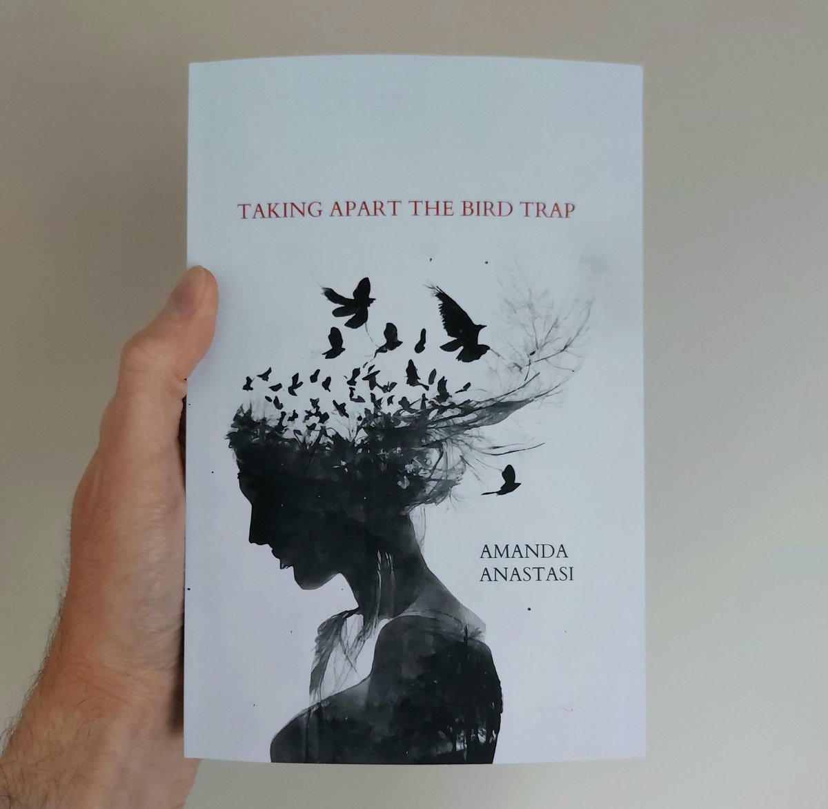 Loving @AnastasiPoetry's powerful new poetry collection 'Taking Apart the Bird Trap'. It's available now through @RecentPress
recentworkpress.com/product/taking…
#poetry #monostich #literature #book