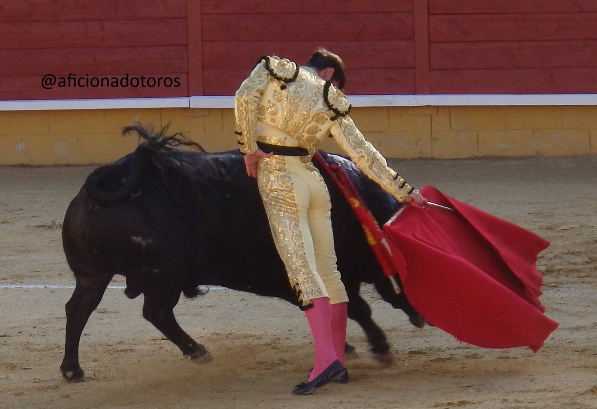 aficionado tweet media