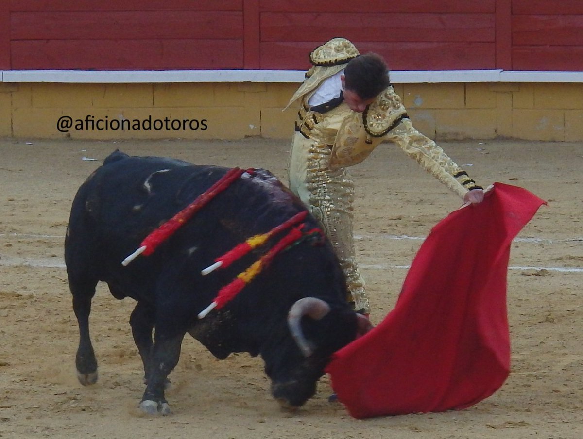 aficionado tweet media