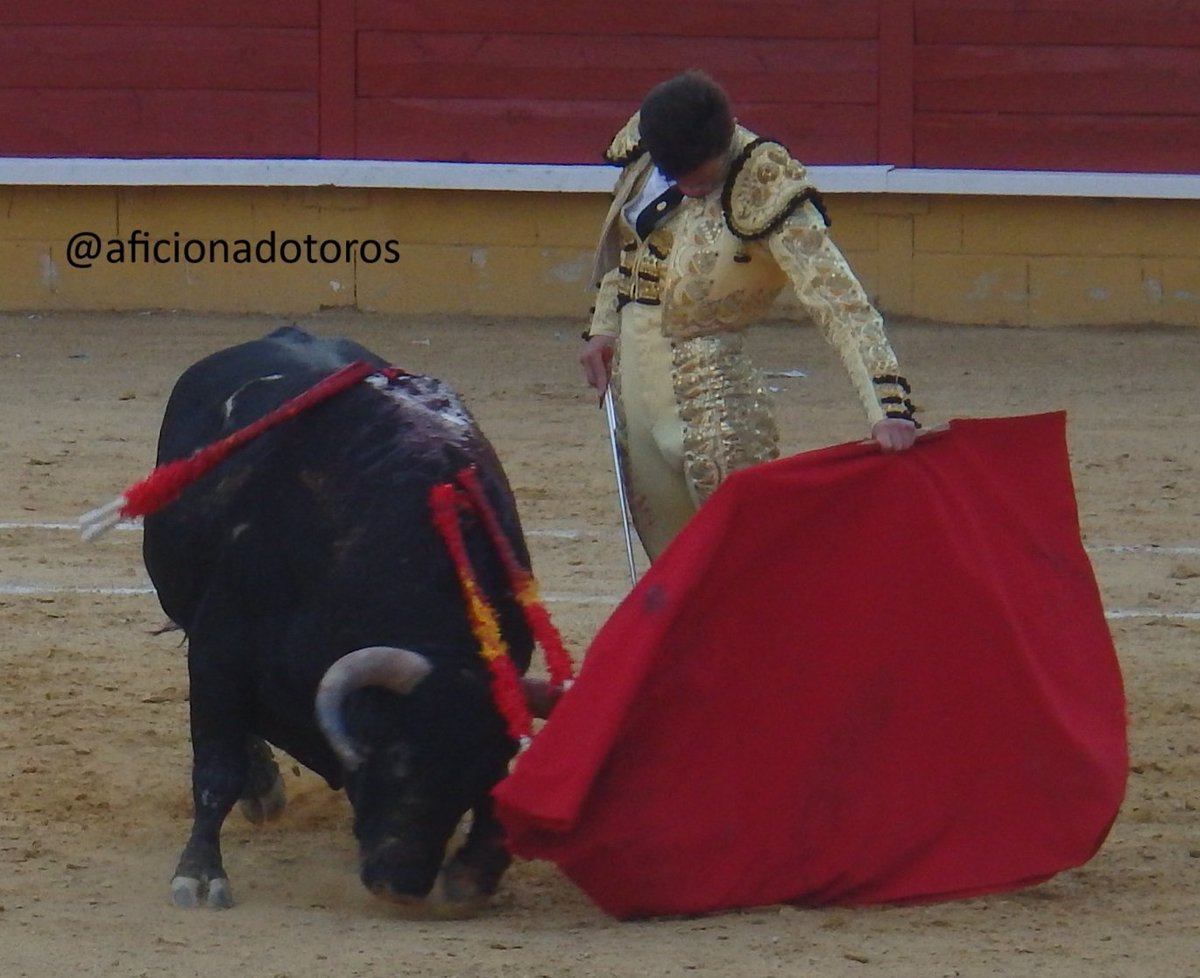 aficionado tweet media