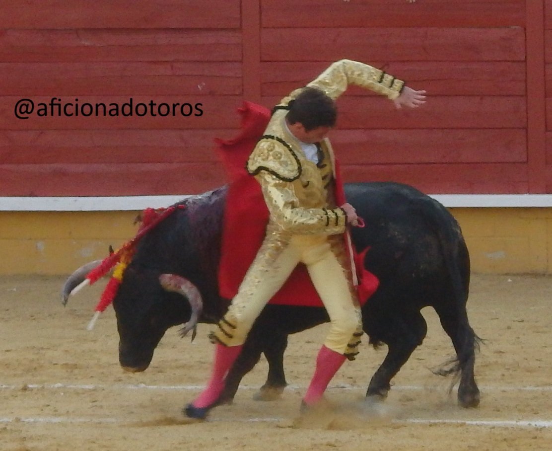 aficionado tweet media