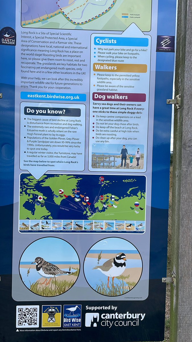 Elspeth Penfold tweet media