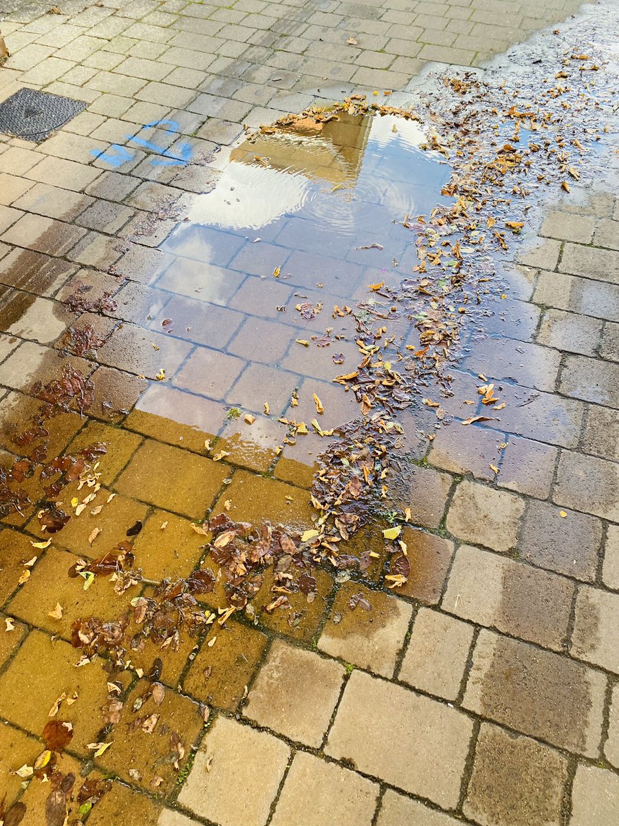 There, we are then <a href="/AnglianWater/">Anglian Water</a> <a href="/PeterSimpsonAW/">Peter Simpson</a> <a href="/Ofwat/">Ofwat</a> we now into week three of a leak. NO RESPONSE a hazard due to leaves Anglian Water. You really are a bunch of useless (add your own noun) .
How dare you put Customer’s bills up in this area by £50
