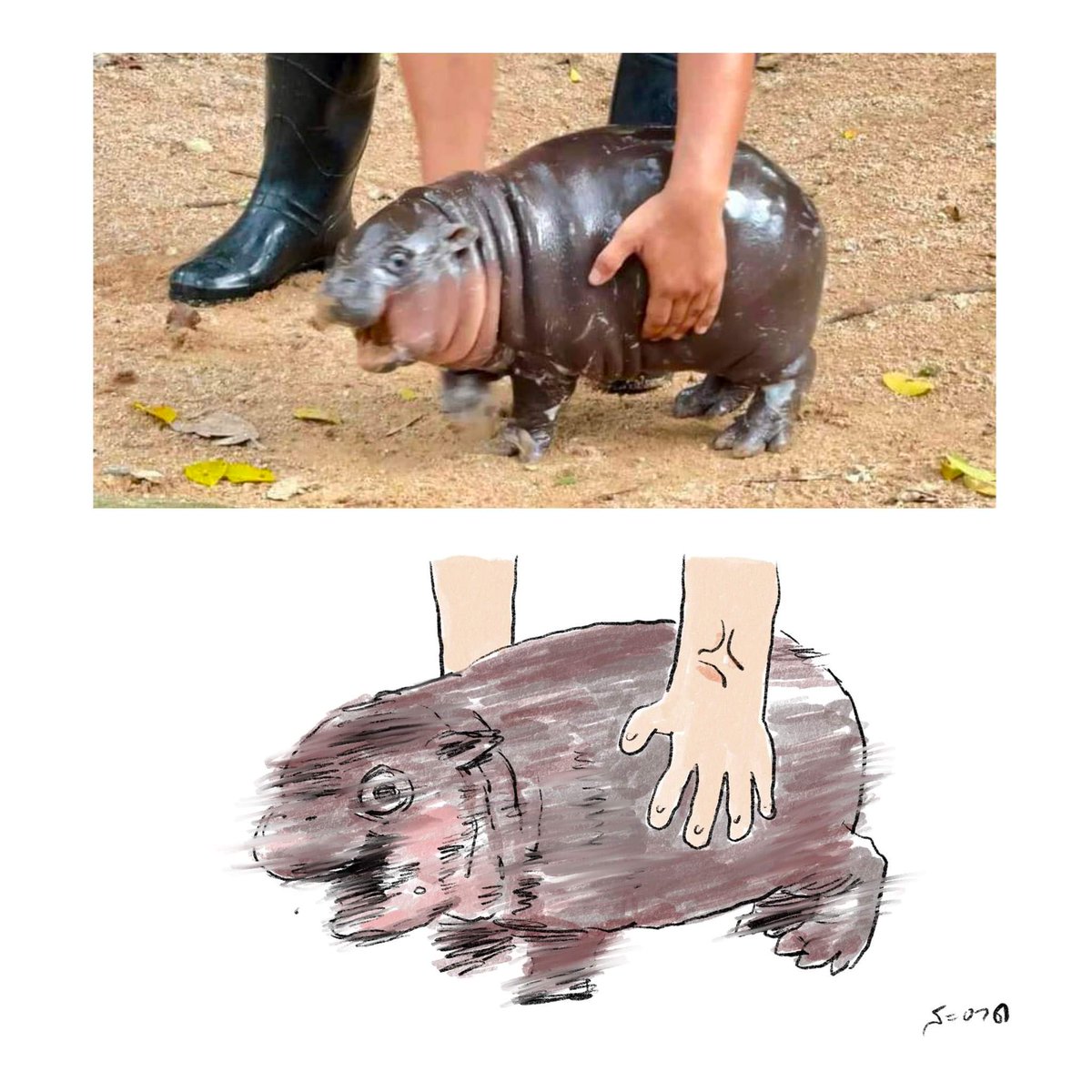 When I pick up my cat without permission