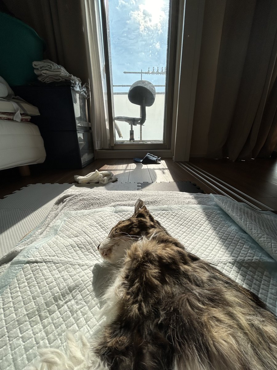 ご報告をさせていただきます。