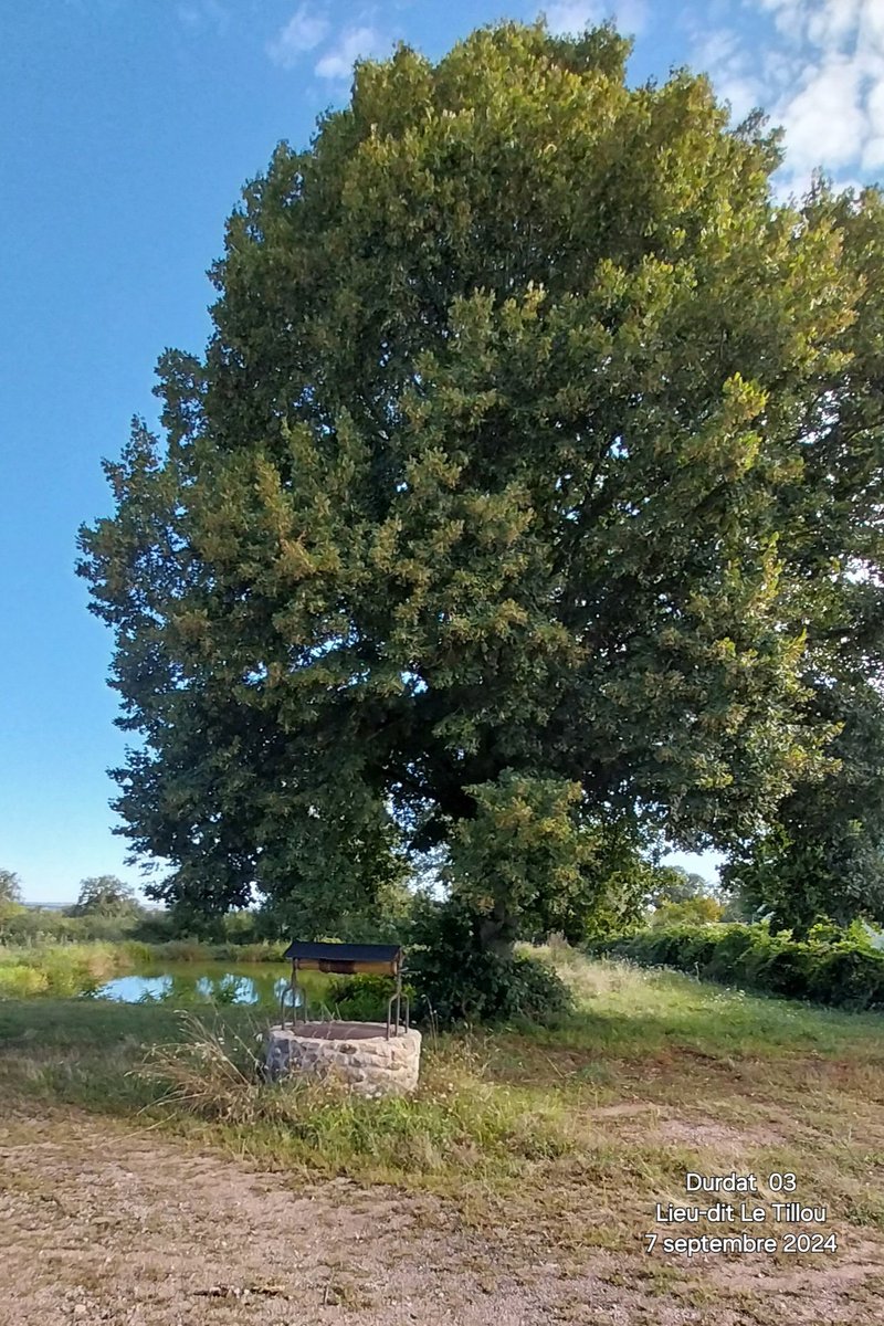 MartineCONORD's tweet image. En allant au marché à Néris-les-Bains !
#ruralité #Parlonsducalme 
#puits #mare