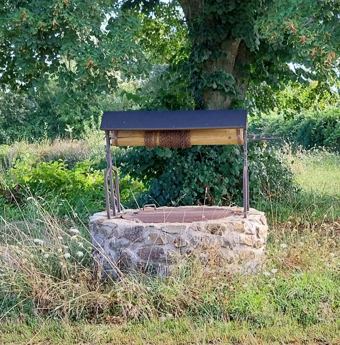 MartineCONORD's tweet image. En allant au marché à Néris-les-Bains !
#ruralité #Parlonsducalme 
#puits #mare