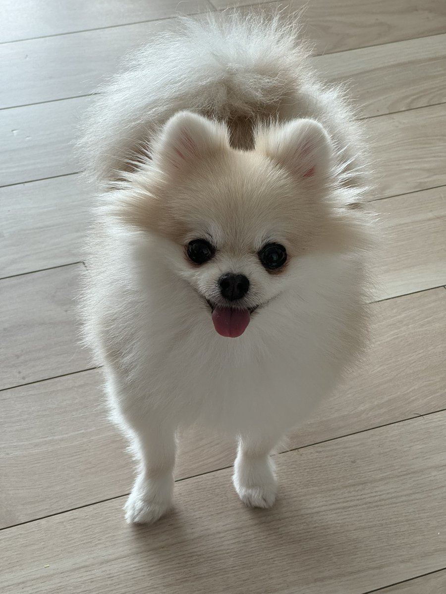 何があるかわからないこの時代、
勝手な因縁や憶測を生まないために
反社会勢力対策のため
危険性がある方との関わり、及び接触など
完全に付き合いを持つのをやめさせて頂くことをここに宣言いたします。
ご理解のほど宜しくお願い致します。
今後もなるべく敵を作らないように