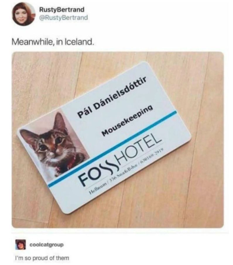 WholesomeMemes tweet media