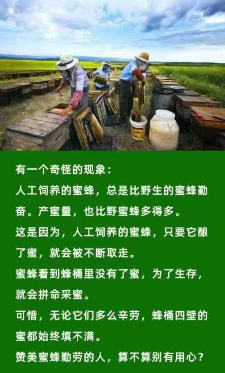 悉尼閑人 tweet media