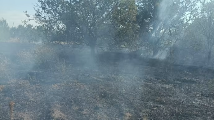 ukrpravda_news's tweet photo. Окупанти обстріляли городи на Донеччині – вбили трьох жінок https://t.co/1IUckf7Ga8 https://t.co/nOv0VNsEXV