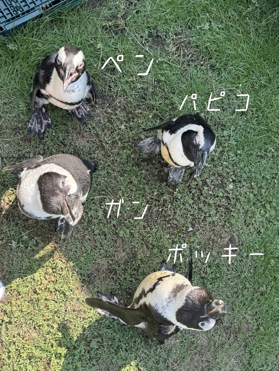 日頃より応援してくださっている皆様へ