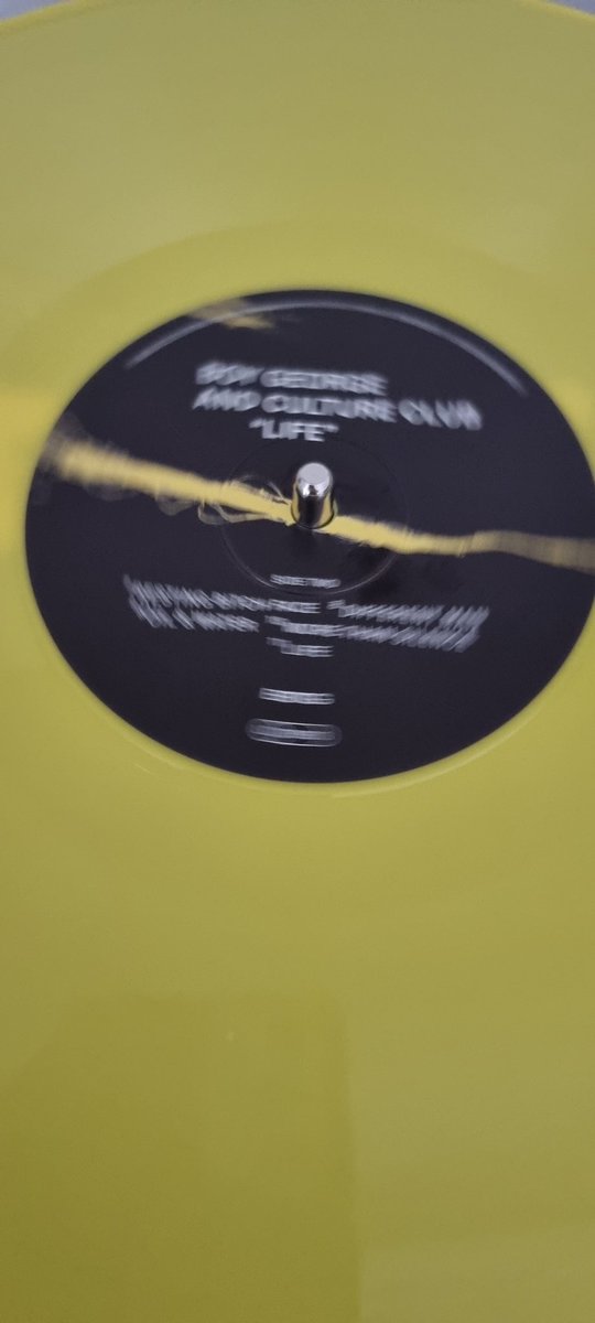 Lisa 🏳️‍🌈 tweet media