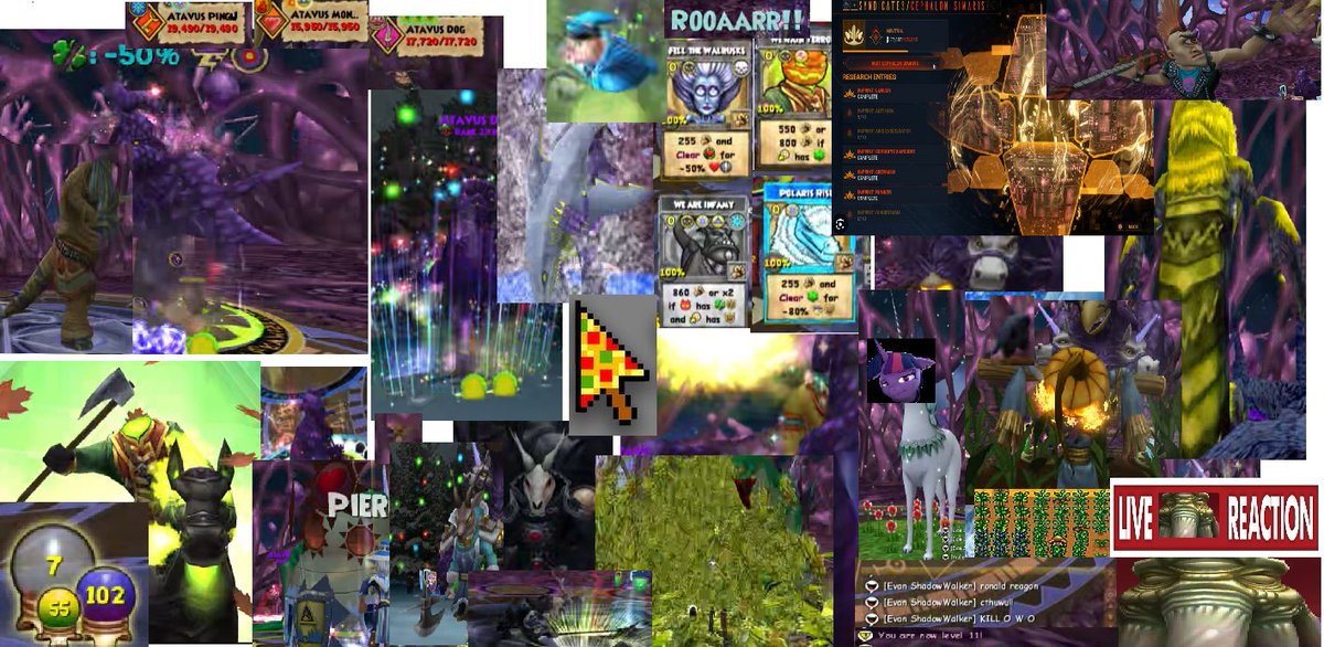 bread_spy's tweet image. 