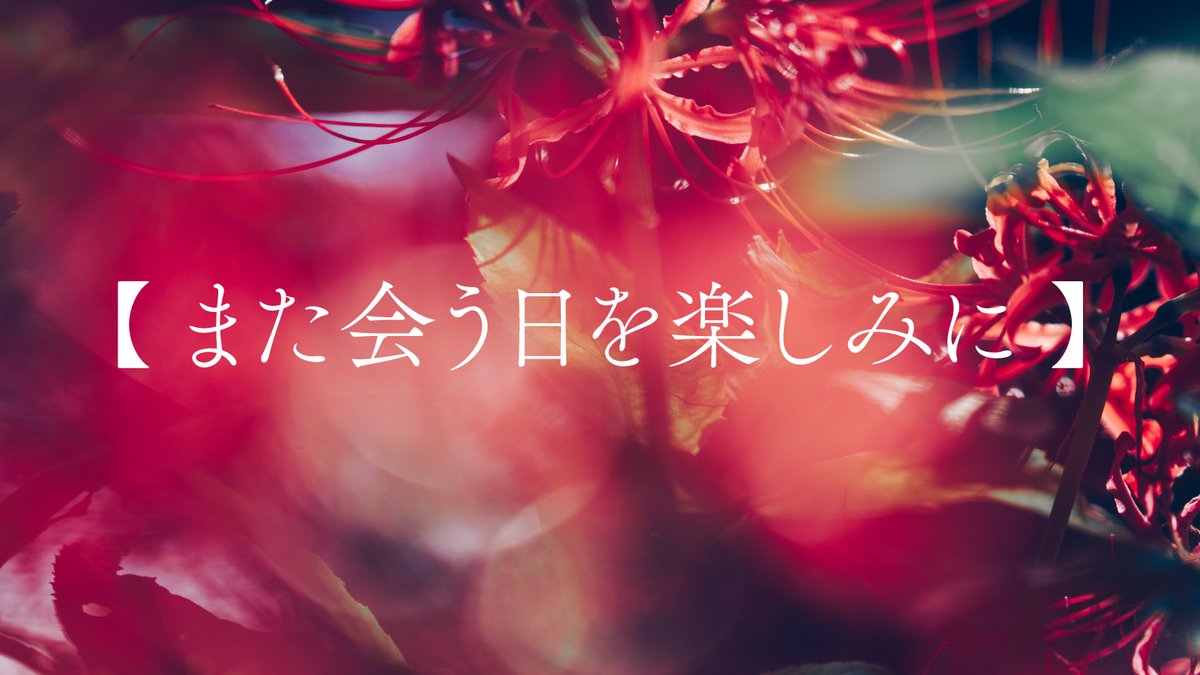 asanatsu_rei's tweet photo. 彼岸花の花言葉 https://t.co/mAC2u5hYhh