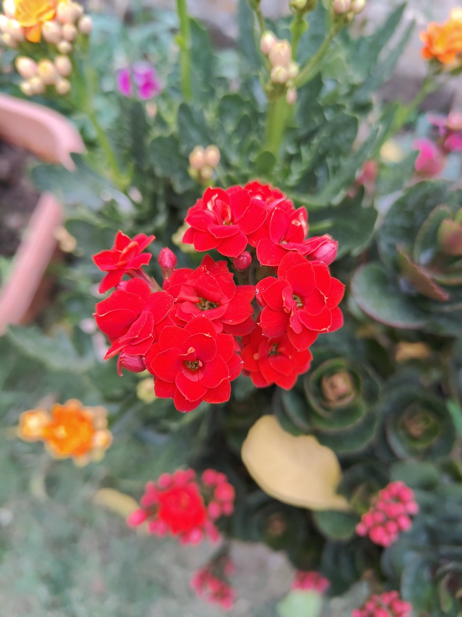 rajeshdatar2022's tweet image. 