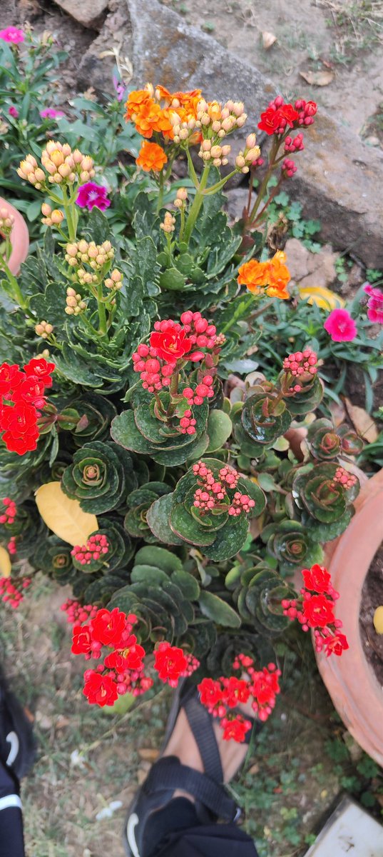 rajeshdatar2022's tweet image. 