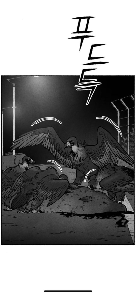 hajind0's tweet photo. 이 장면 연출도 굉장히 영화같지 않나…
이유는 모르겠음
저 초보라는 글자와 함께 잡힌 두일이
사체를 뜯어먹는 독수리
라는 상징적인 요소도 그렇고… 전체적인 화면 전환 이런게 진짜 영화같은듯 https://t.co/hVES4hN7nK