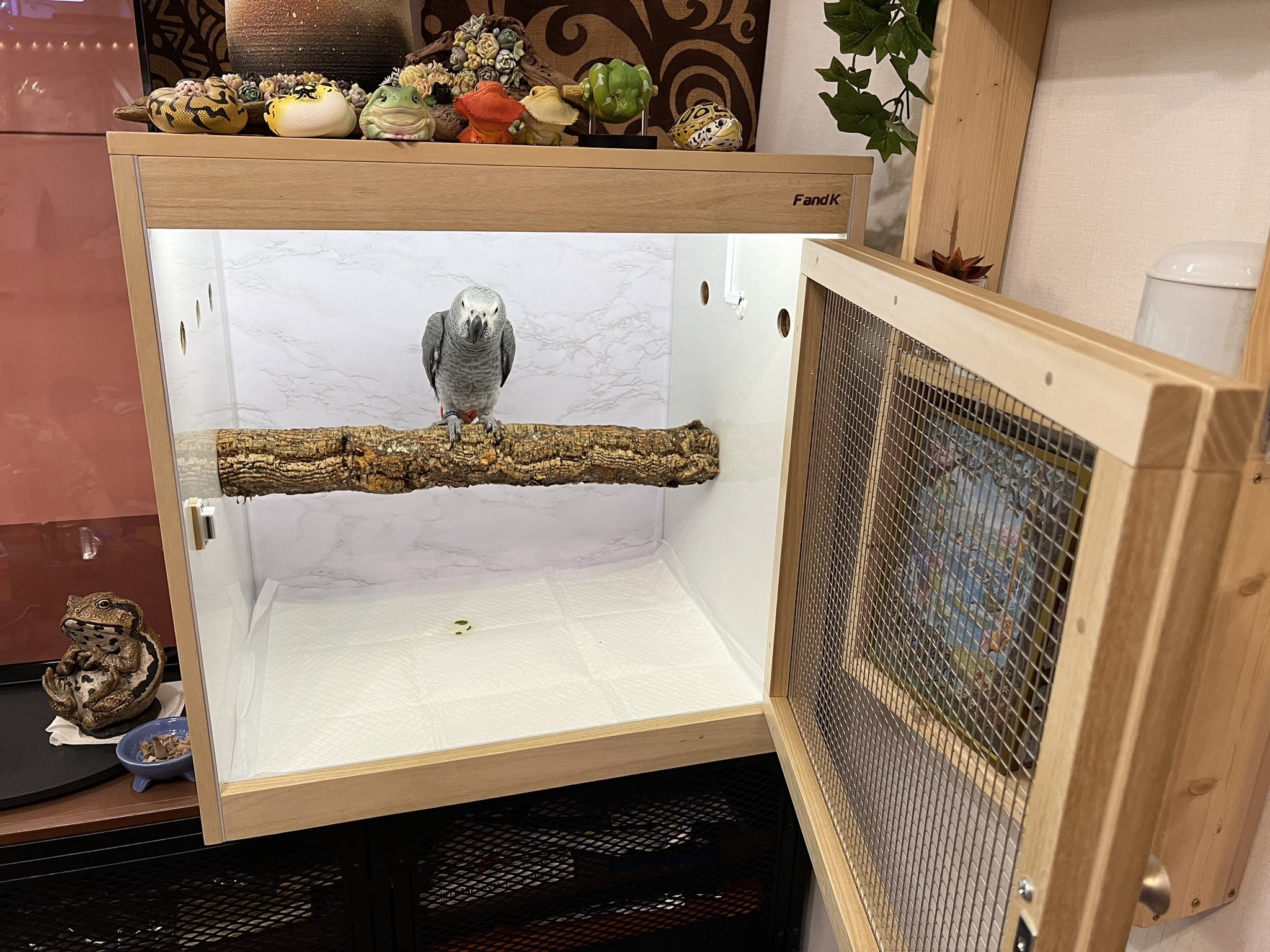 フクロウケージ オーダー用 揉ま FandK爬虫類木製ケージ フクロウケージ オーダー用 揉ま FandK爬虫類木製ケージ