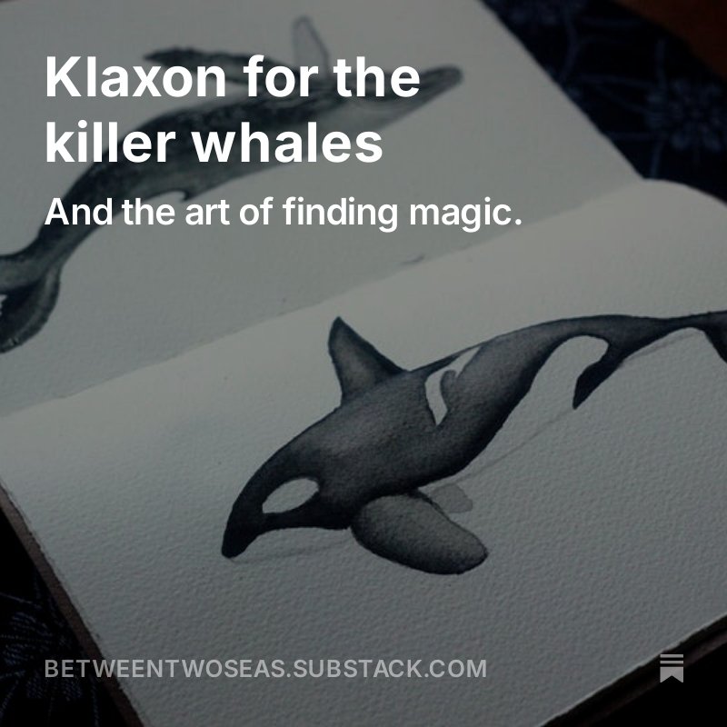 On whales and wonder and hope.
 betweentwoseas.substack.com/p/klaxon-for-t…

#WritingCommunity