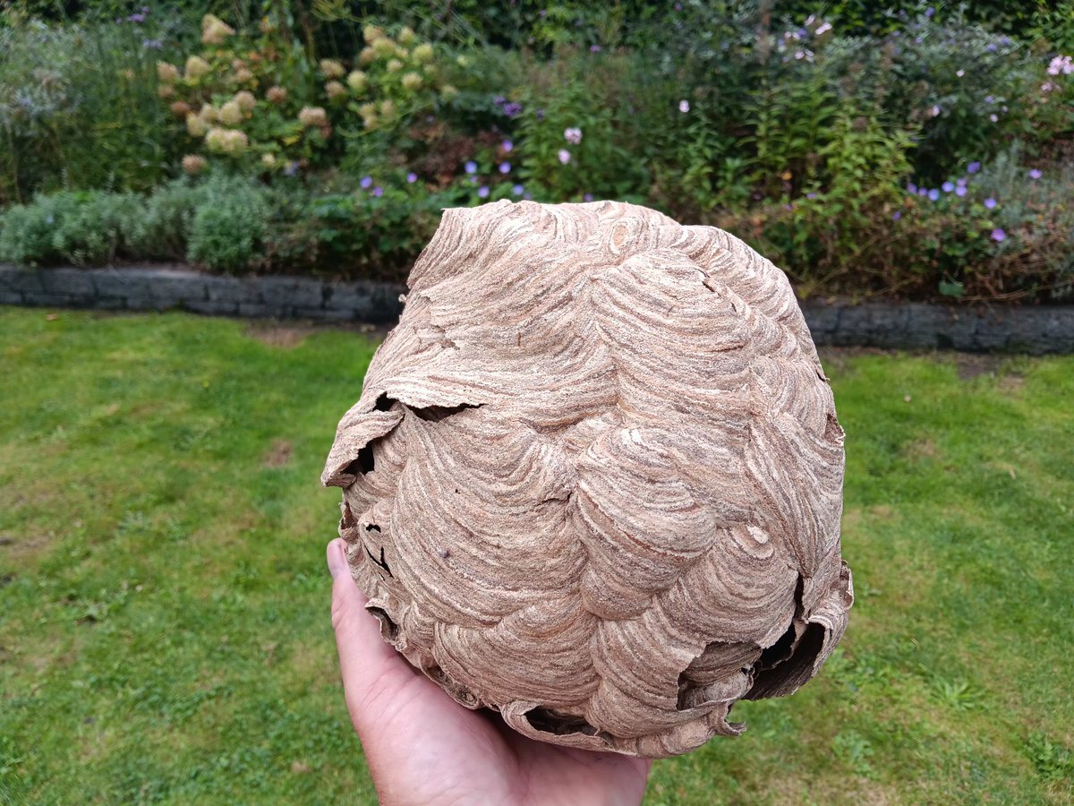 Albert-Erik tweet media