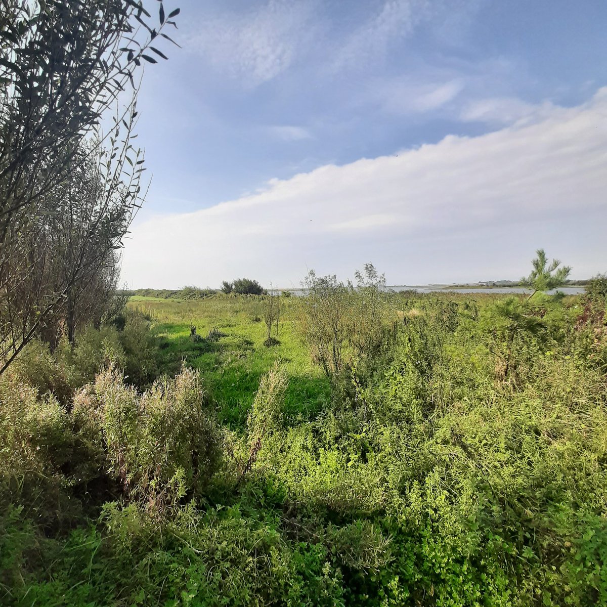 Sorting out a few disused logs from the garden...a bug hotel by the pond located besideLady's Island lake underneath the willow and My 4 year old son was delighted to learn <a href="/agriculture_ie/">Dept of Agriculture, Food and the Marine</a> <a href="/NPWSIreland/">National Parks and Wildlife Service</a> <a href="/BioDataCentre/">Biodiversity Ireland</a> <a href="/IFAmedia/">Irish Farmers' Association</a> <a href="/epaecology/">EPA Ecology</a>