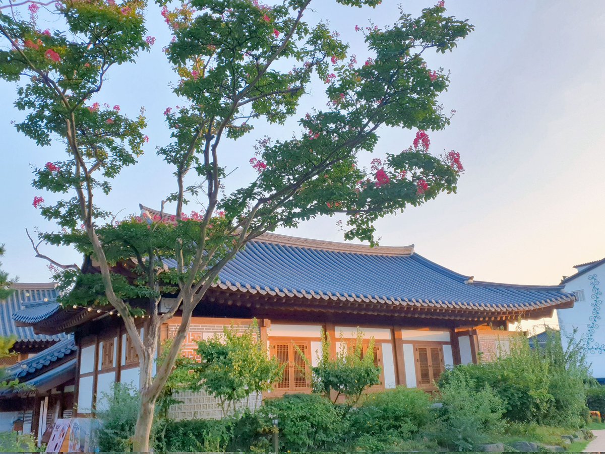 오늘도 쨩 재밌었어