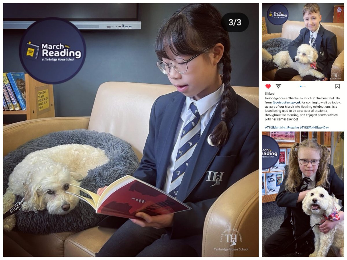 PetsAsTherapyUK's tweet photo. Our #Read2Dogs scheme can help young people to improve their literacy skills and encourage confidence and concentration in the classroom.
https://t.co/Lc2mECzws1
#PetsAsTherapy #DogsinSchools #R2D #Edu #Education #Childrensliteracy #childrensmentalhealth #reading #LiteracyDay https://t.co/HENwlyU9En