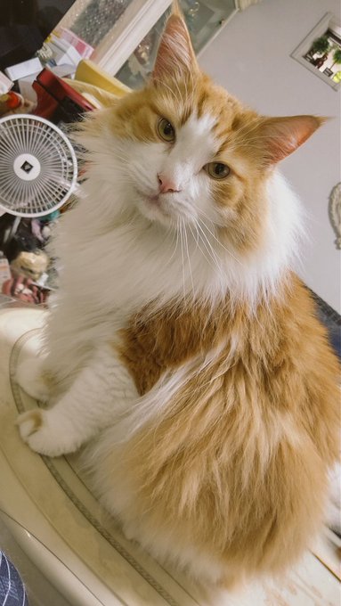 君に会いたくて二日目行かずに帰ってきちゃったよ 