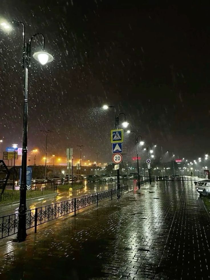 s loves cat ★ ♡ tweet media