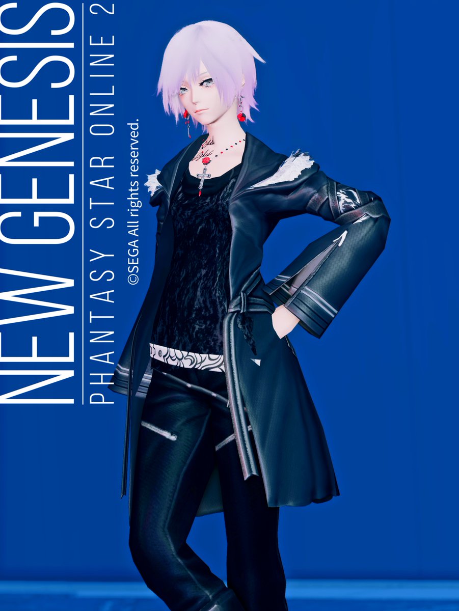 フロワガロウズとフィリルゾーナ
#PSO2NGS_SS