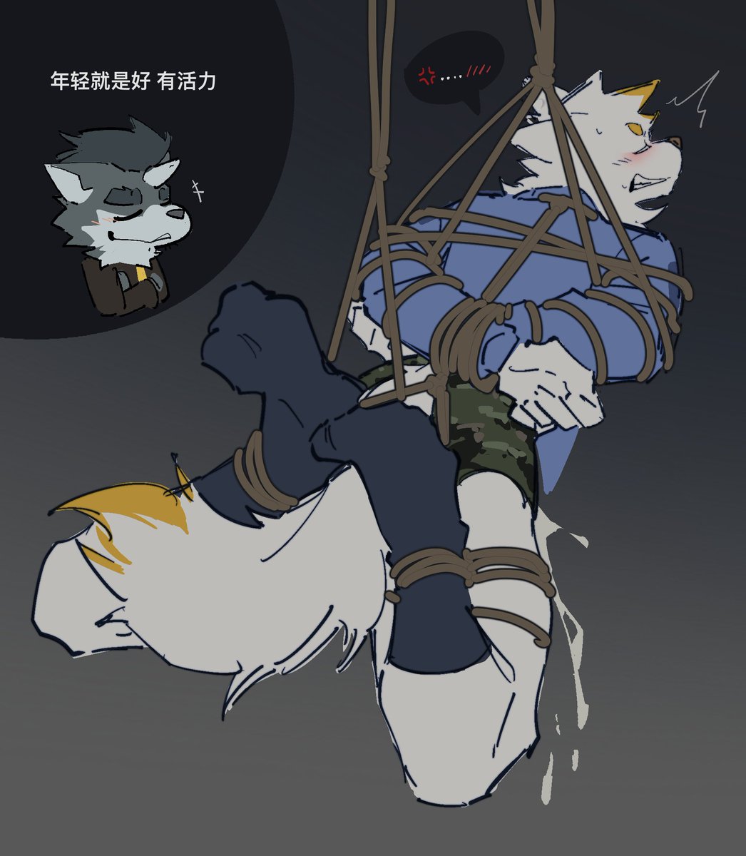 低锰酸钾 (@dmsjji12) on Twitter photo 