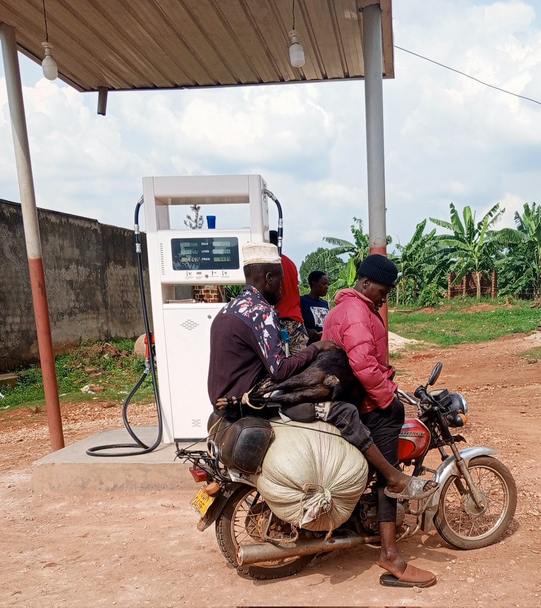 opiolen1's tweet photo. You've not been to Uganda if you've not seen such. https://t.co/nzP9a8YmTq