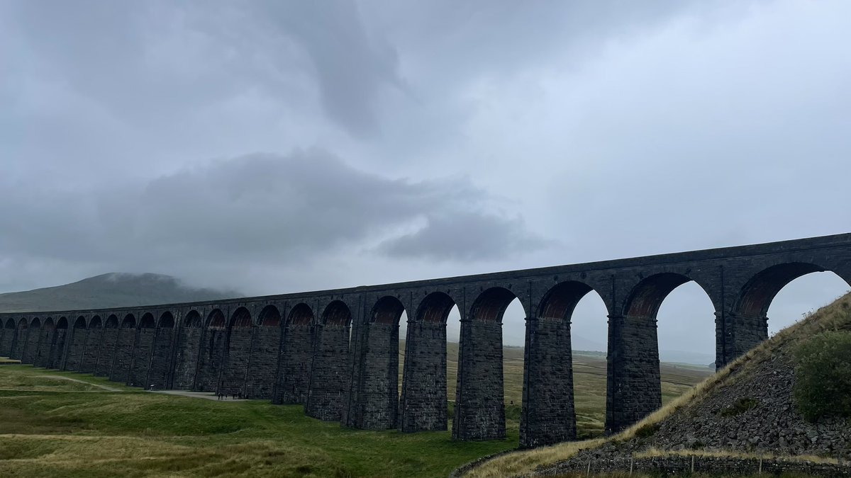 David Hall tweet media