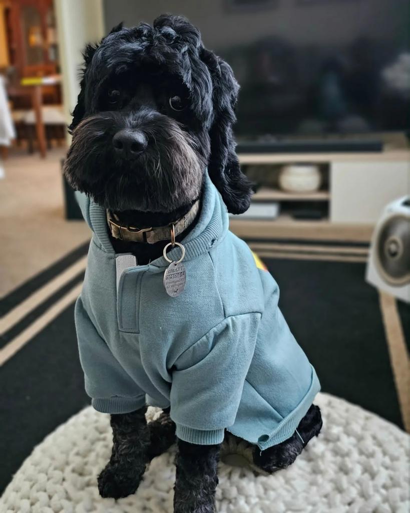 Richard John (@richard04622146) on Twitter photo 