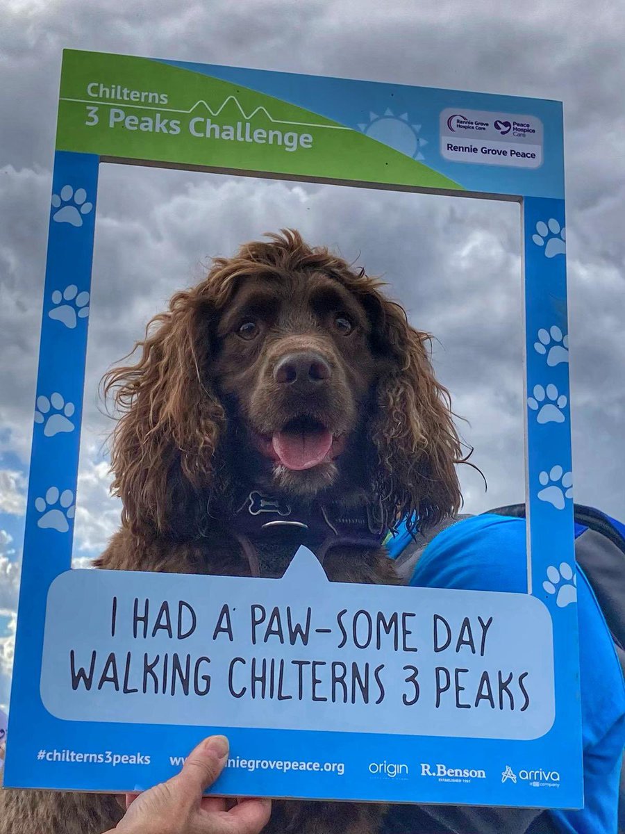 David Marriott tweet media