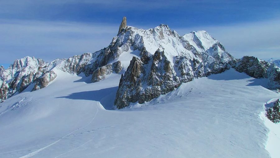 osservatore italia tweet media