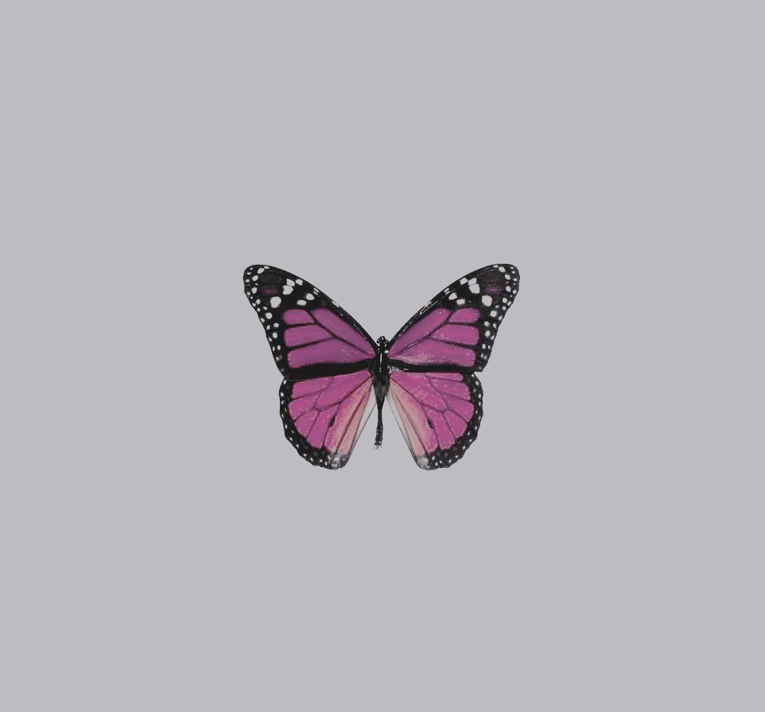 ⠀⠀mm mm,⠀⠀we haven't.⠀⠀hello!⠀⠀^__^