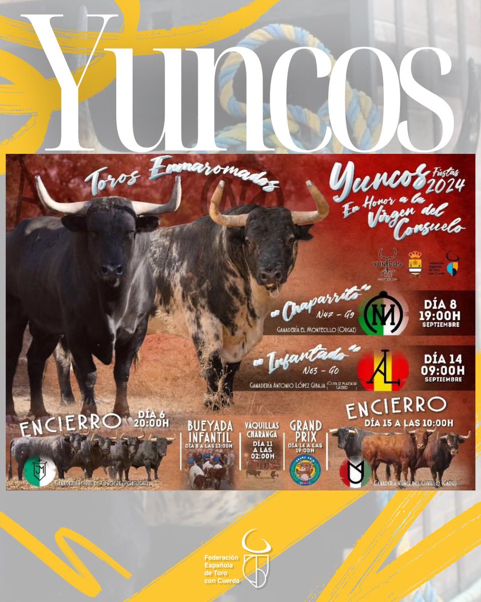 FETorodeCuerda's tweet photo. 𝗬𝘂𝗻𝗰𝗼𝘀 ya disfruta de sus 𝗙𝗶𝗲𝘀𝘁𝗮𝘀 𝗲𝗻 𝗛𝗼𝗻𝗼𝗿 𝗮 𝗹𝗮 𝗩𝗶𝗿𝗴𝗲𝗻 𝗱𝗲𝗹 𝗖𝗼𝗻𝘀𝘂𝗲𝗹𝗼 🎉

Y su Toro Enmaromado volverá a correr por las calles de esta localidad toledana los próximos días 𝟴 𝘆 𝟭𝟰 𝗱𝗲 𝘀𝗲𝗽𝘁𝗶𝗲𝗺𝗯𝗿𝗲 

#TorodeCuerda #TorodeVida https://t.co/RlgTD7A07K