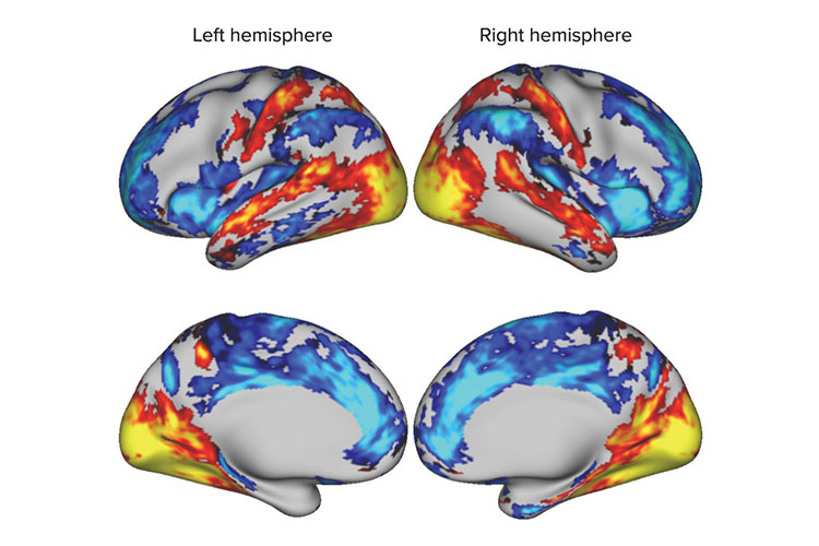Nicholas Fabiano, MD tweet media