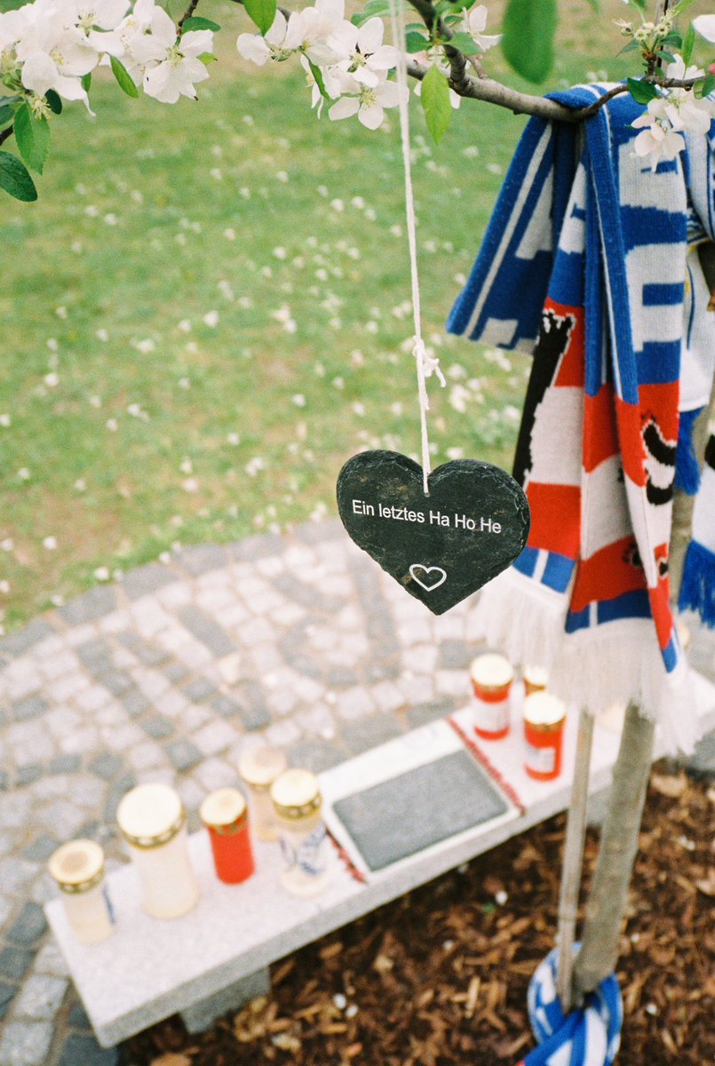 Für immer in unseren Herzen.
Du fehlst, Kay! 🕯️🕊️

#Hahohe